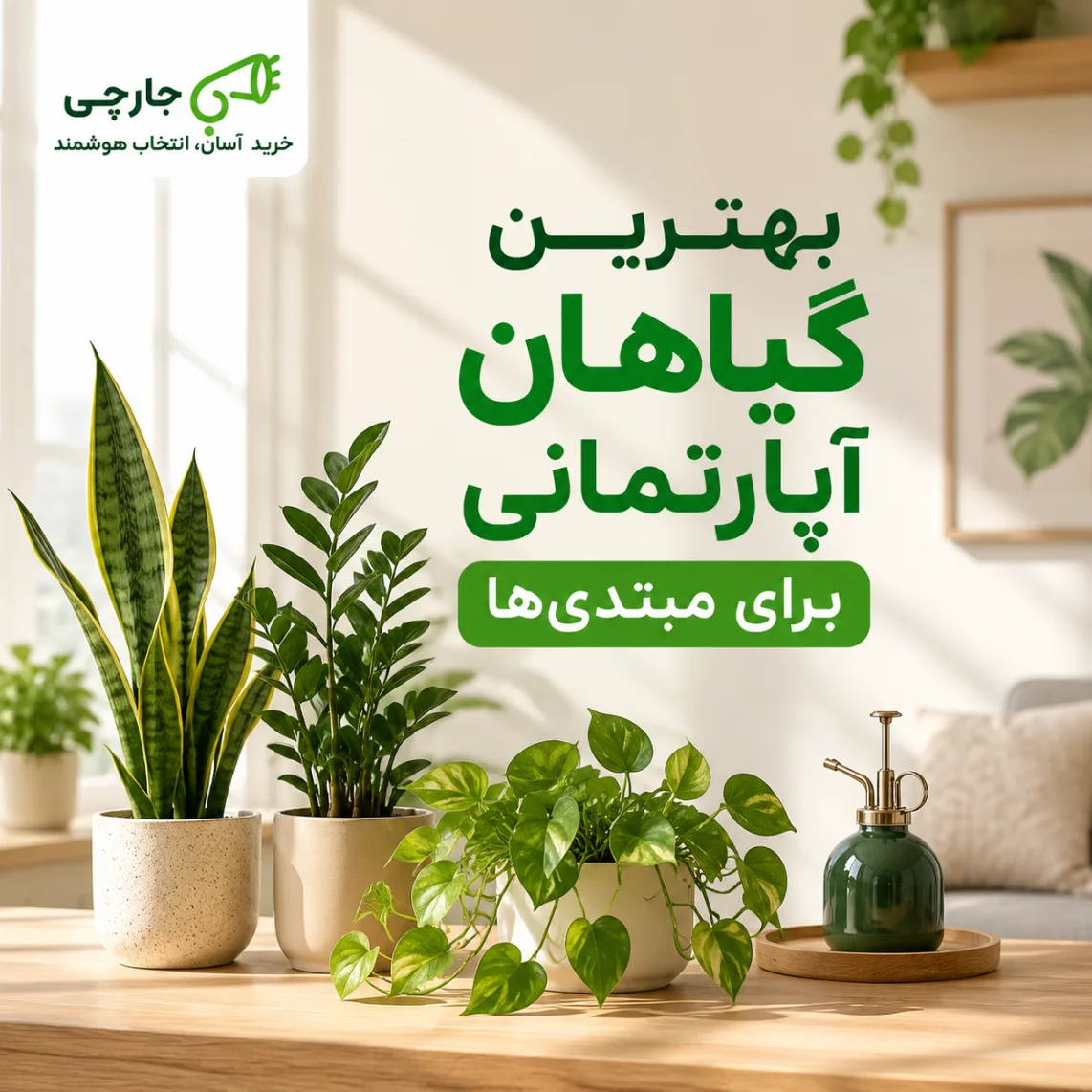 بهترین گیاهان آپارتمانی برای مبتدی‌ها