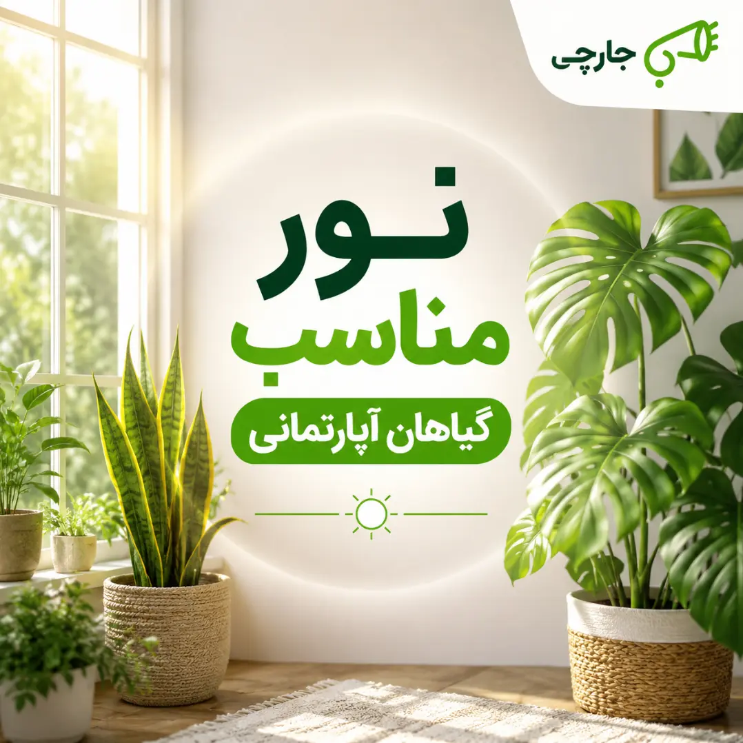 نور مناسب گیاهان آپارتمانی کنار پنجره