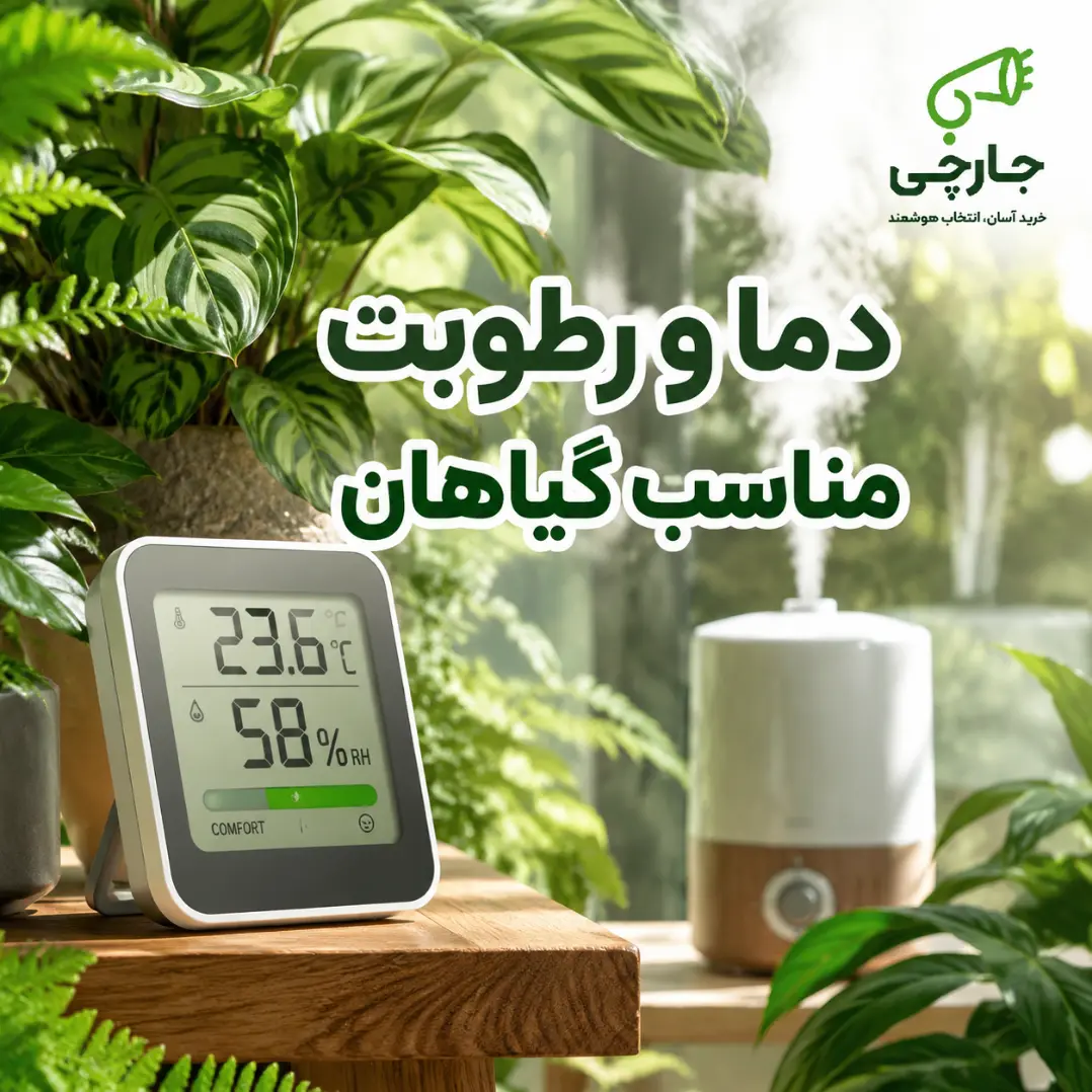 رطوبت مناسب برای گیاهان آپارتمانی