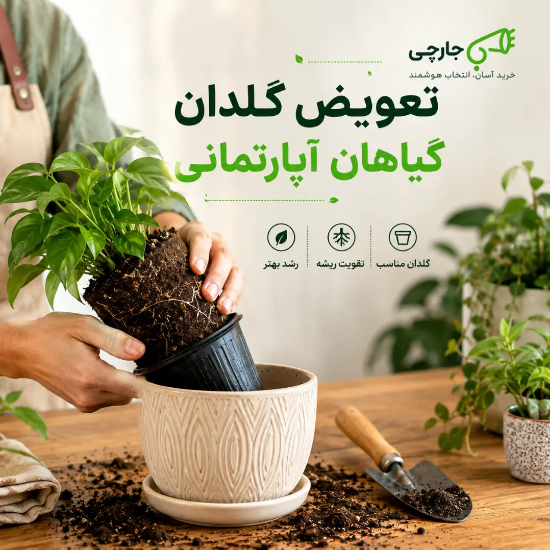 تعویض گلدان گیاهان آپارتمانی