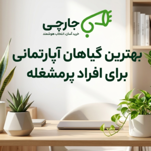 شروع باغبانی در خانه با گلدان های ساده برای افراد مبتدی