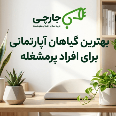 شروع باغبانی در خانه با گلدان های ساده برای افراد مبتدی