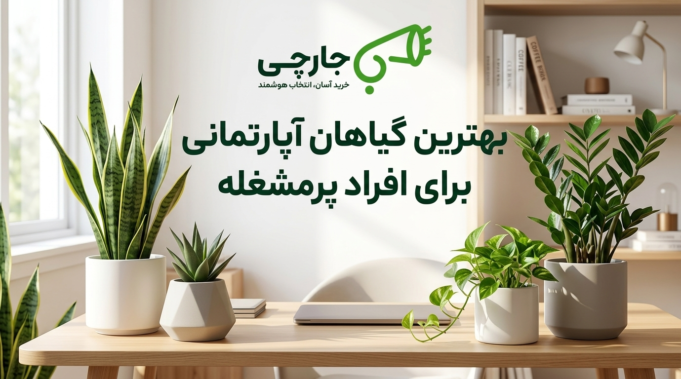 شروع باغبانی در خانه با گلدان های ساده برای افراد مبتدی