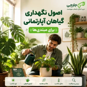 اصول نگهداری گیاهان آپارتمانی