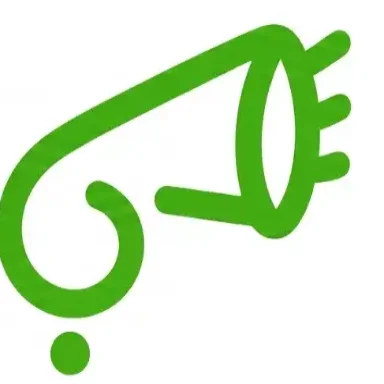 باجارچی 