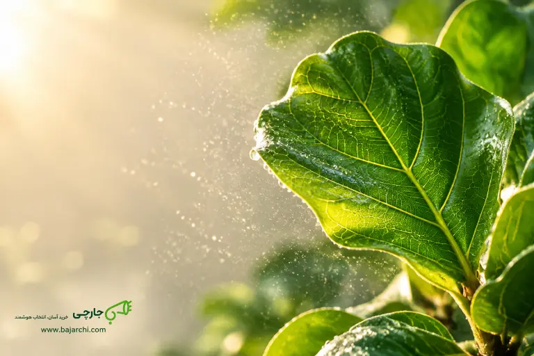 راهنمای جامع کودهای NPK و تفسیر فرمول‌های شیمیایی